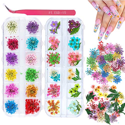 2 Boxes Dried Flowers for Nail Art, KISSBUTY 24 Colors Dry Flowers Mini Real Natural Flower Nail Art Supplies 3D Applique Nail Decoration Sticker for Tips Manicure Decor (Flowers Gypsophila Daffodils)