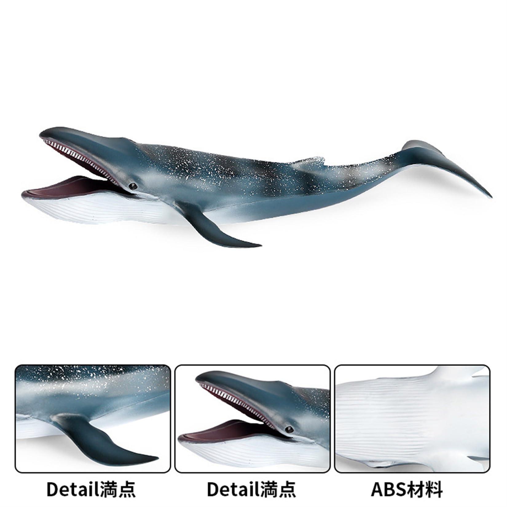 Amazon | EUHELOPA シロナガスクジラ フィギュア 大きいサイズ 33cm級