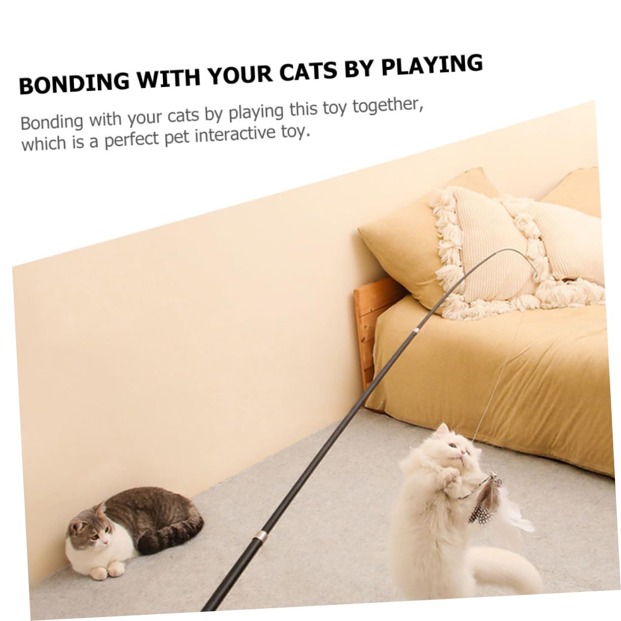 Toddmomy 8pièces Canne Téaser pour Chat Baguette Interactive Télescopique avec Plumes Jouet pour Chaton Et Chat Maison