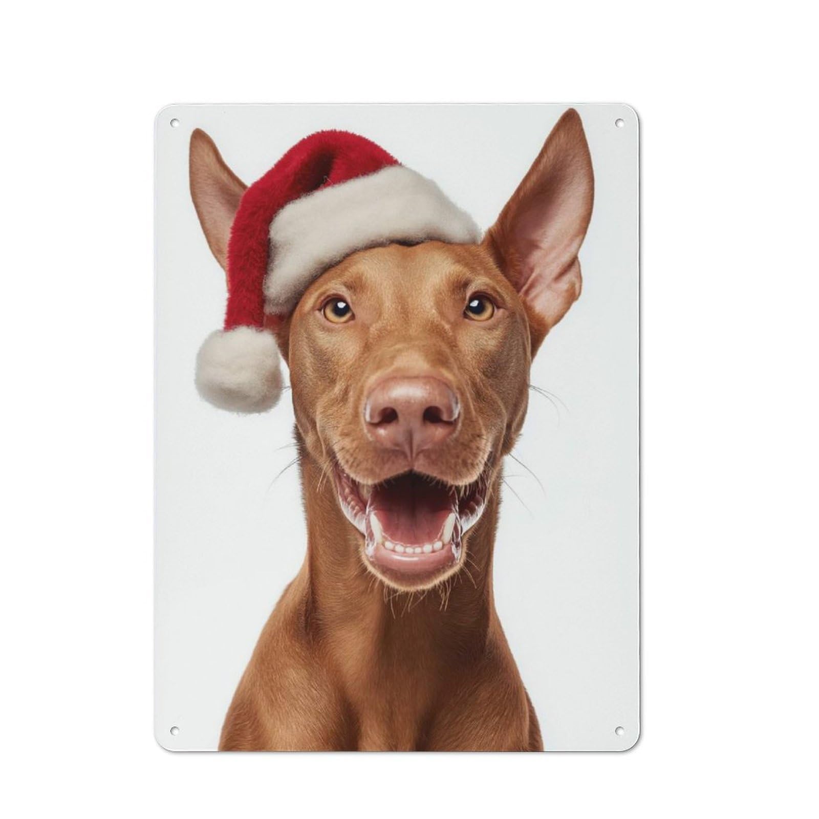 Pharaoh Hound Dog with Santa Hat Portrait Metal Gift Sign 40x30cm, Retro Home Wall Decor for Home, Shop, Pub Or Studio Wall