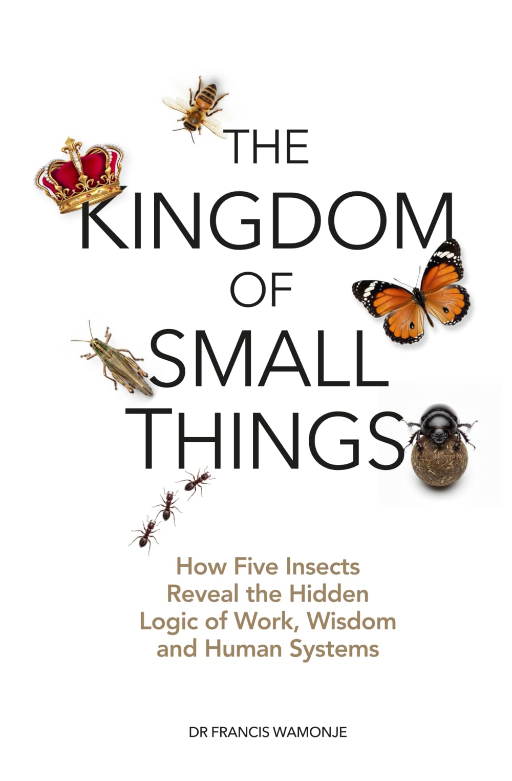 THE KINGDOM OF SMALL THINGS: How five insects reveal the hidden logic of work, wisdom and human systems