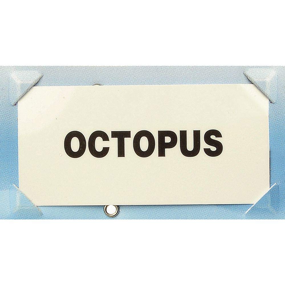 Seafood Name Insert Set for Price Tags White Plastic - 2 1/2"L x 1 3/16"H by HUBERT – 2.5*1.18 inches, Plastic, White, Model 24872F1