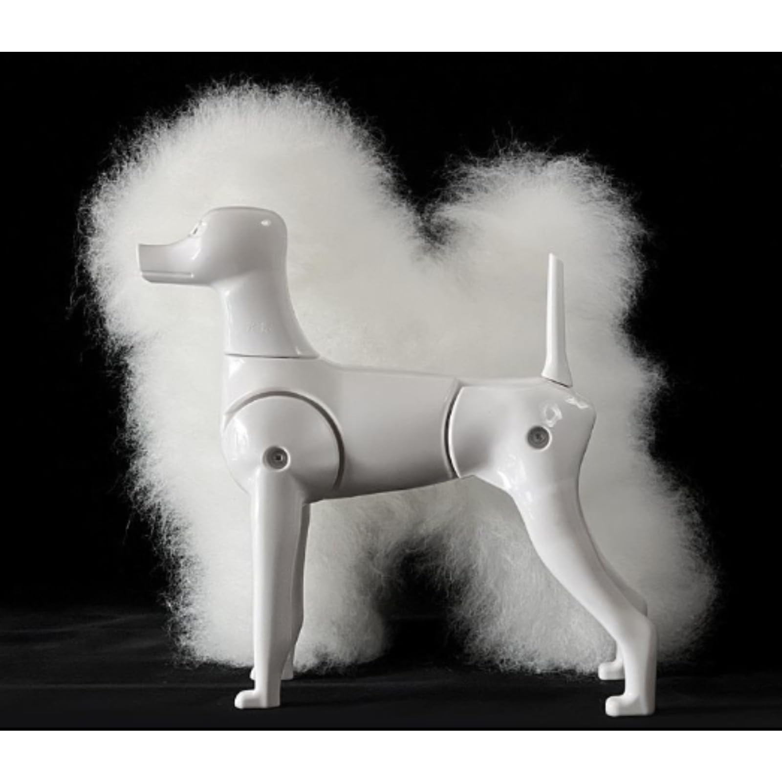 Amazon.co.jp: Cutdred テディベア風モデル犬のトリミング練習キット Amazon.co.jp: Cutdred テディベア風モデル犬のトリミング練習キット