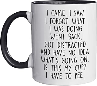 I Came I Saw I Forgot What I Was Doing Coffee Mug, Funny Senior Citizens Sarcastic Mothers Day Gifts Old People Elderly Mom Dad Grandma Grandpa Coworker Coffee Mugs, 11oz Coffee Mug