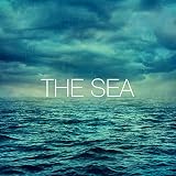 Waves: Storm at Sea