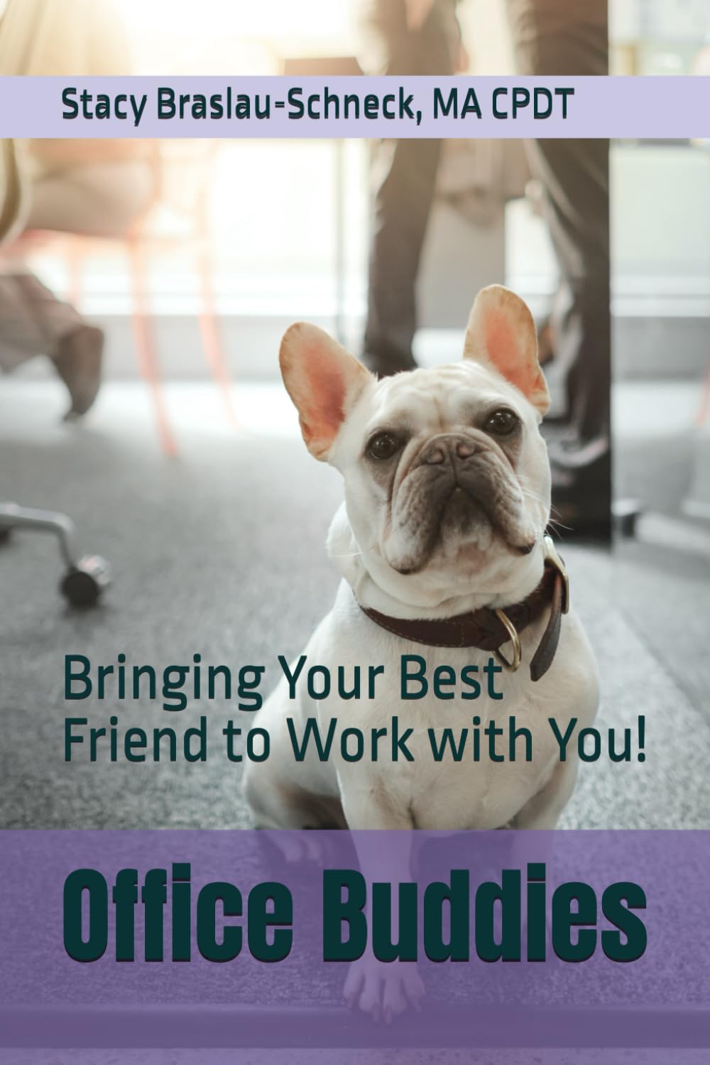 Office Buddies: Bringing Your Best Friend to Work with You!