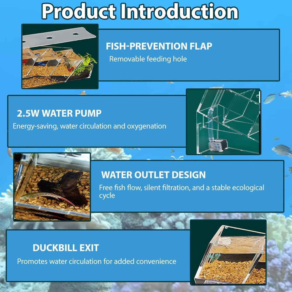 Set per Principianti Acquario/Acquario Betta, Inclusi 4 Scomparti Individuali per Pesci Betta, Filtro,Moderno Acquario per Pesci Rossi in Acrilico Trasparente Fai-da-Te,Elegante Acquario
