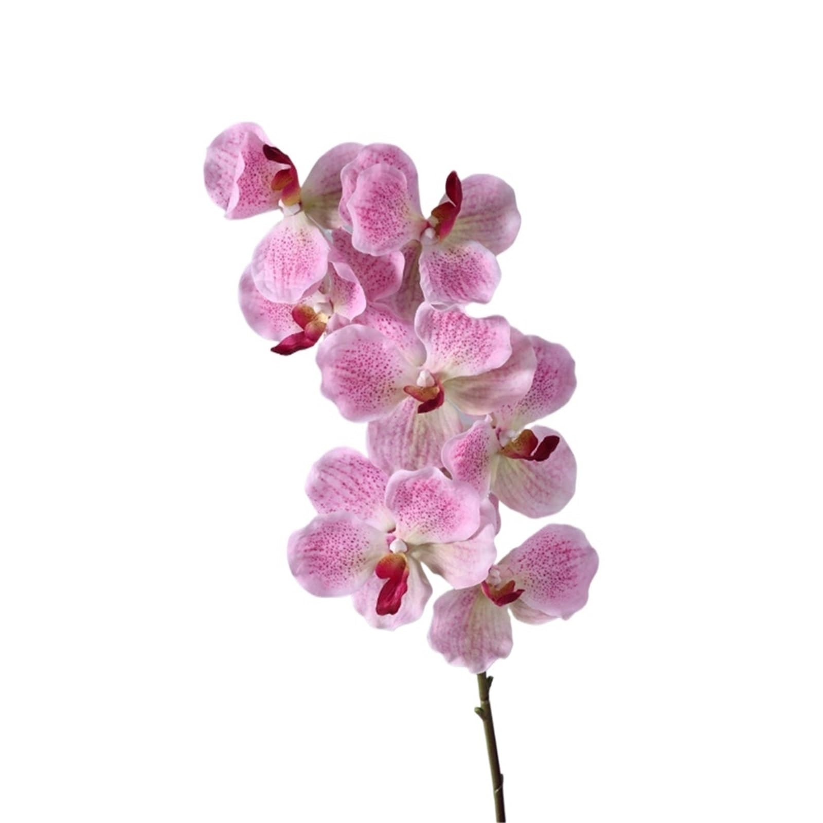 LSYHHXC Artificial Orchid 80 CM Artificial Vanda Orchid Moisturizing Phalaenopsis Branch Large Flower Realistic Real Touch Orchids