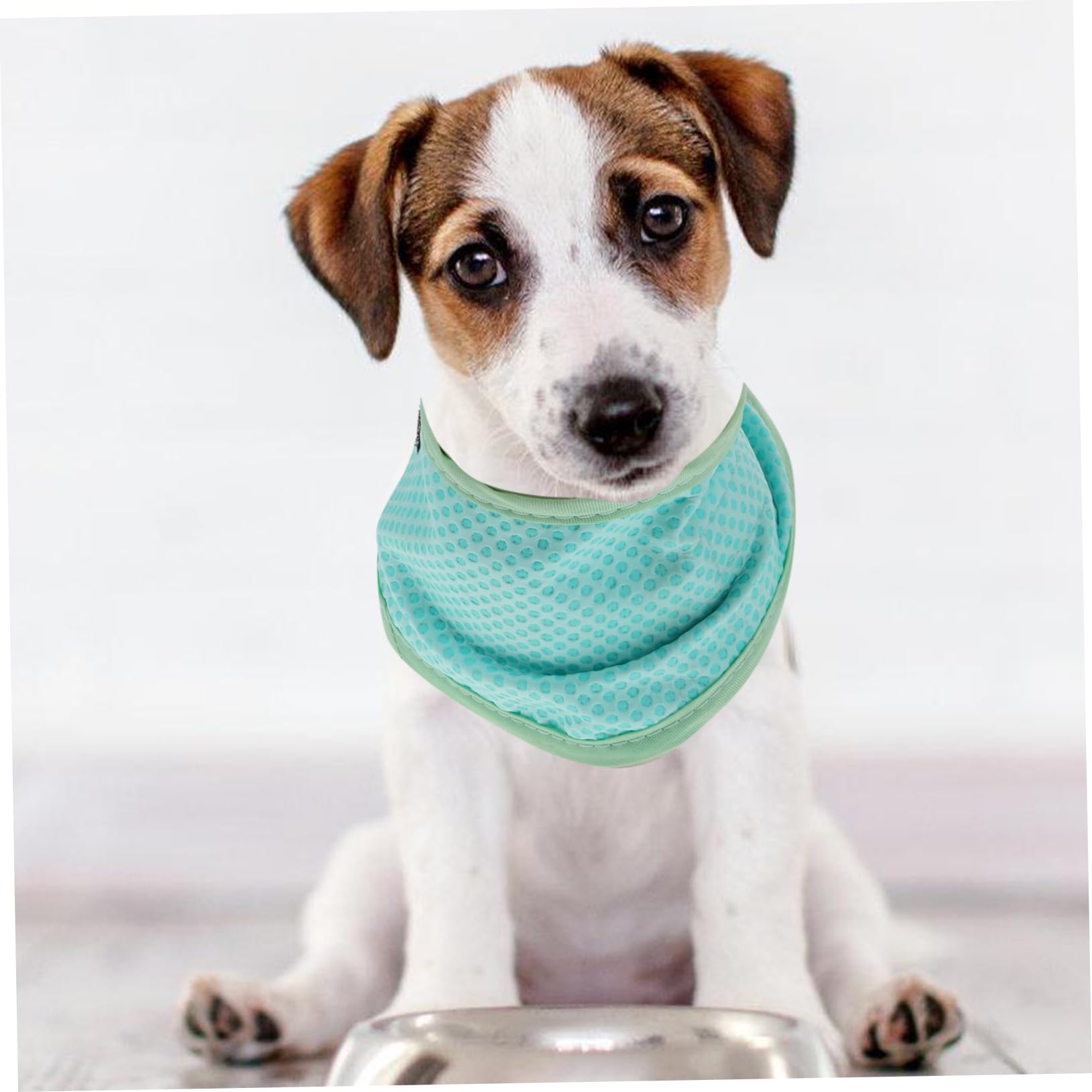 Toddmomy 5pièces Collier De Refroidissement pour Chien Écharpe Rafraîchissante Ajustable pour Animaux Bandana pour Chiens Et pour Et Activités Plein Air