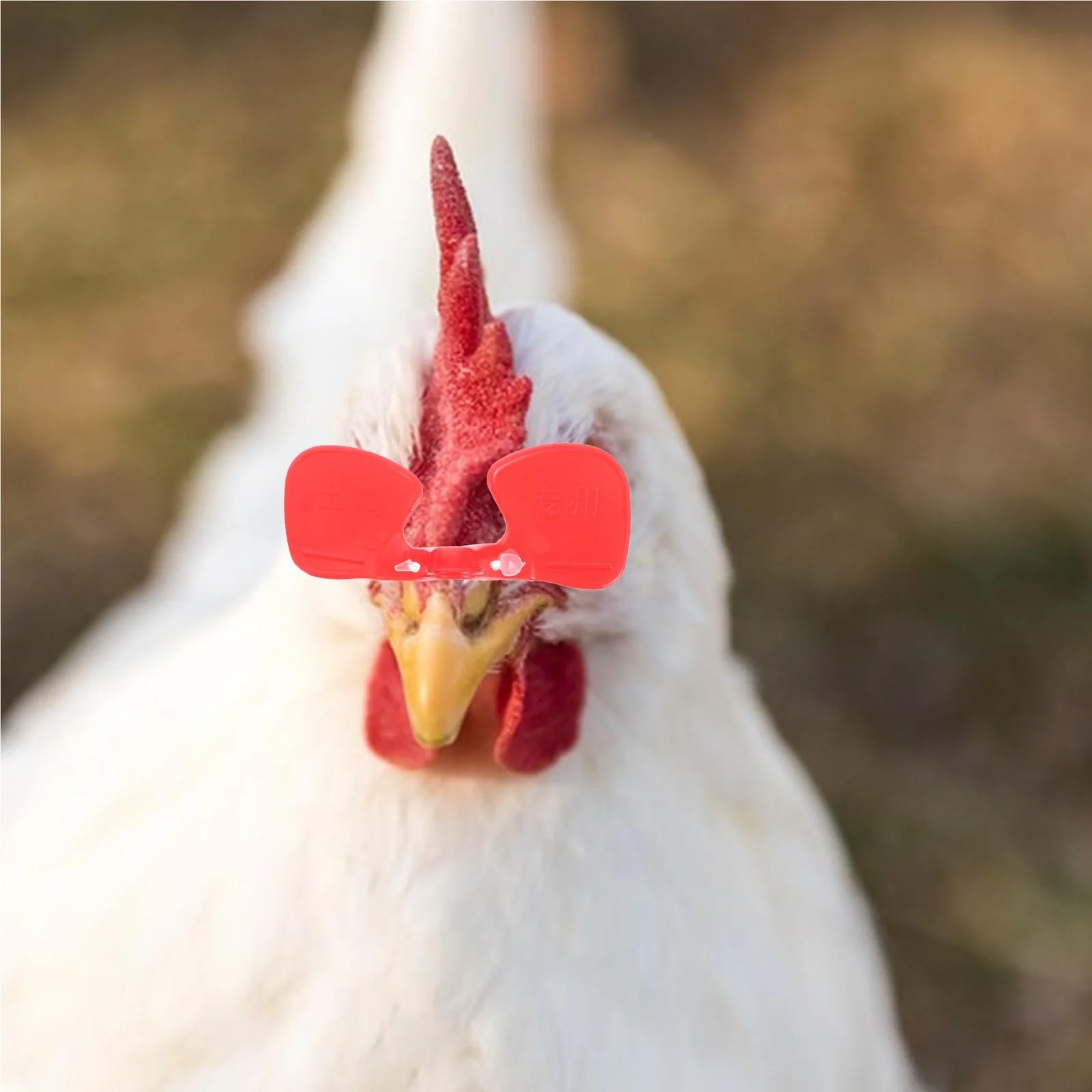 Lot de 200 Lunettes Anti-picage for Poules, faisans, coqs, fermes, mirettes sans Picots, Fournitures for Poules pour Le Poulet