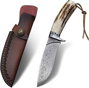 61Q2YyjiWCL._AC_UF350,