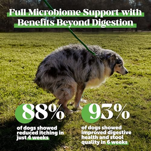 image for Pet Honesty Max Strength Probiotics for Dogs - Super Pooper Dog Stool 