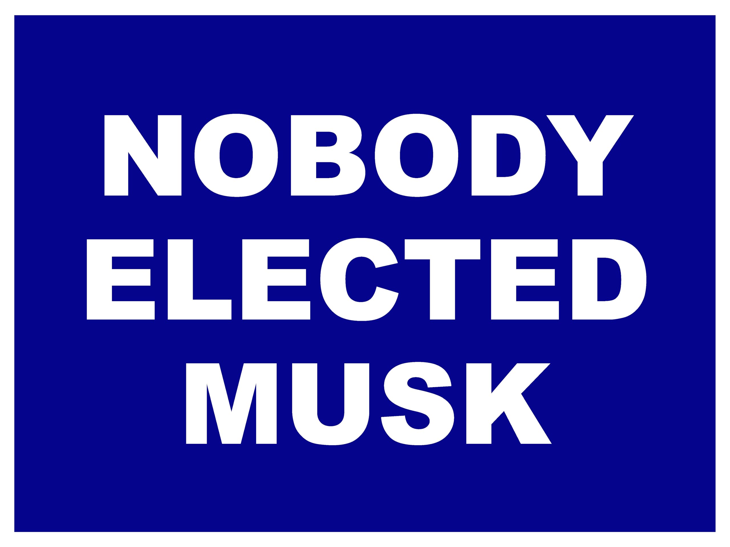 Nobody Elected Elon Musk - Funny Anti-Trump 18X24 inch 2-Sided Political Yard Sign with Stake