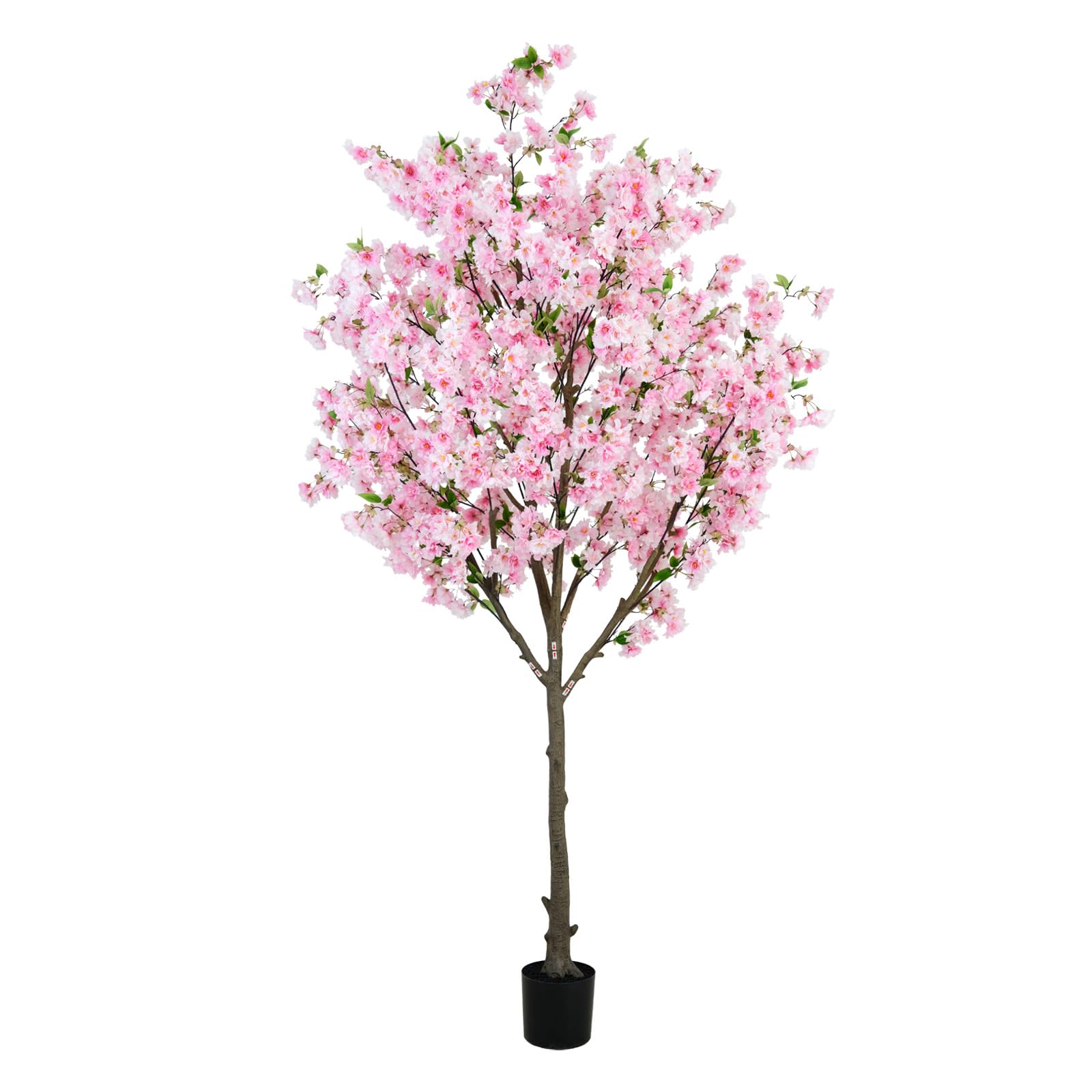 Explore the art of buying boldly!!! Row-9