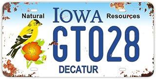 Replica Vintage License Plate, State of Iowa, Embossed Metal Number Tags, Prop Vanity Car Registration Plates, 12x6 Inch