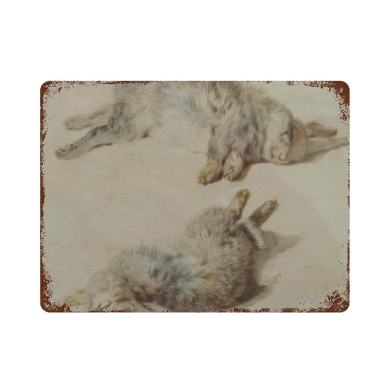 xiaoxiaoshen Vintage Oil Painting of Two Sleeping Rabbits, Neutral Country Style. Wall Decor Art Metal Tin Poster Modern Home Decor Art Home Bar Shop Decorations Vintage Sign 30x40cm