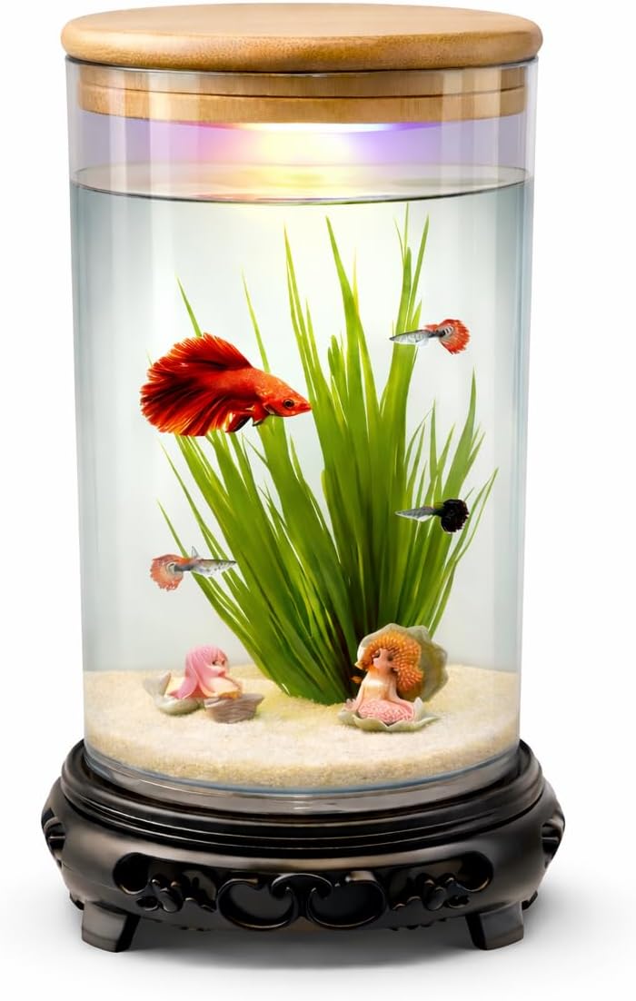 Desktop mini Fish Tank Aquarium, White, Acrylic, 1.5 Liters, 21x11x11 cm, Rectangular with LED Lighting, Modern Style
