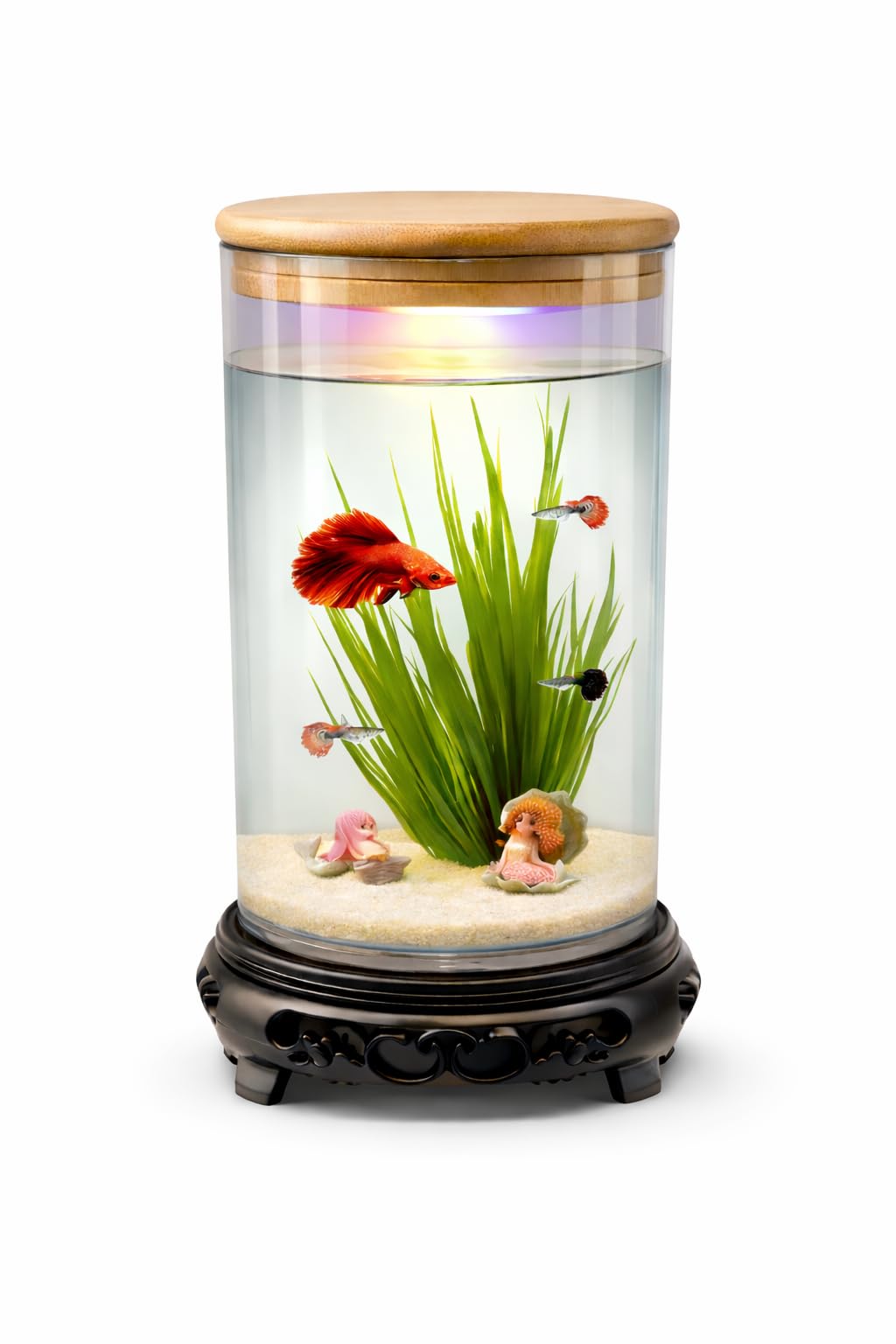 - Desktop mini Fish Tank Aquarium, White, Acrylic, 1.5 Liters, 21x11x11 cm, Rectangular with LED Lighting, Modern Style