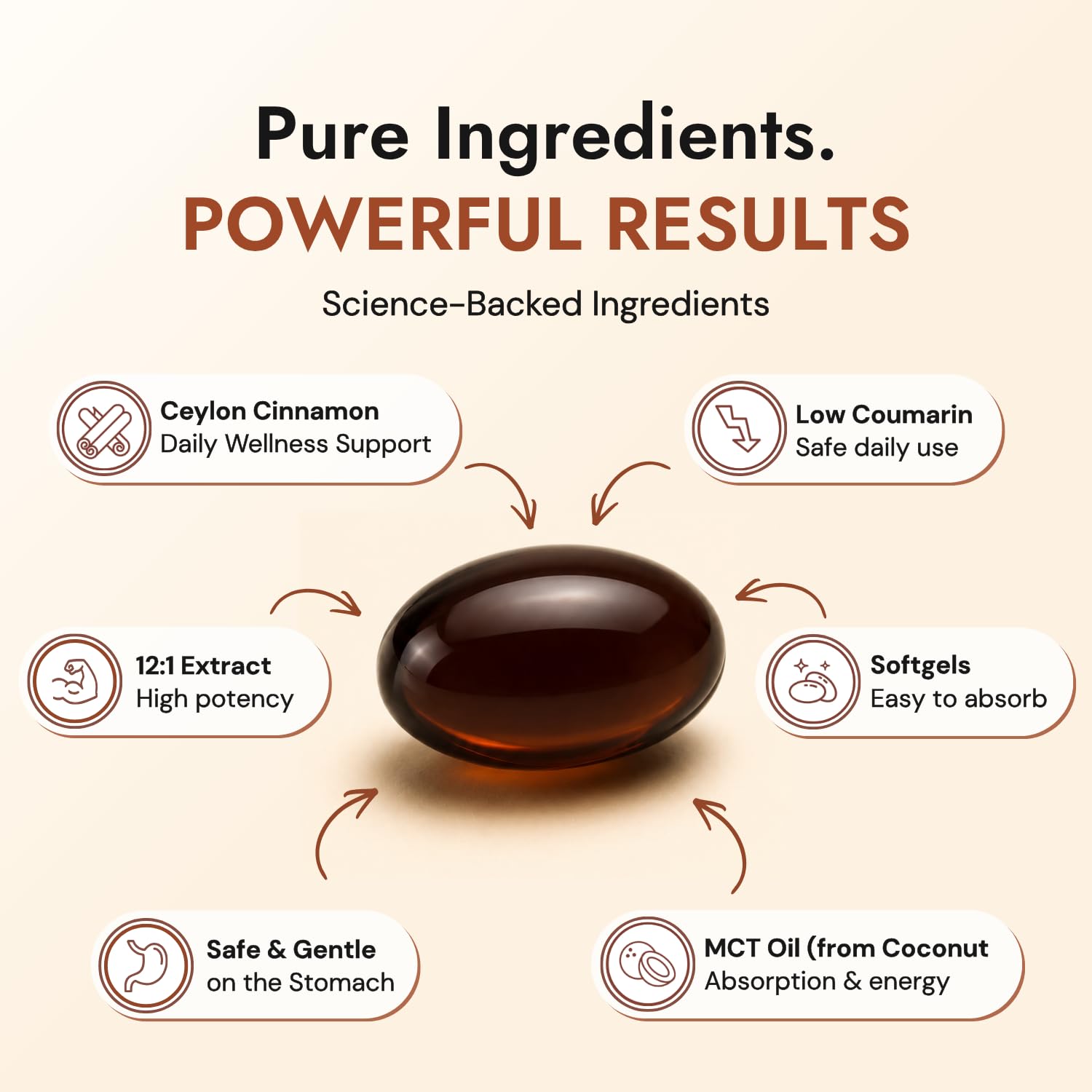 Primal Remedies Ceylon Cinnamon Capsules with Organic MCT Oil, 60 Softgels — Amazon image 2