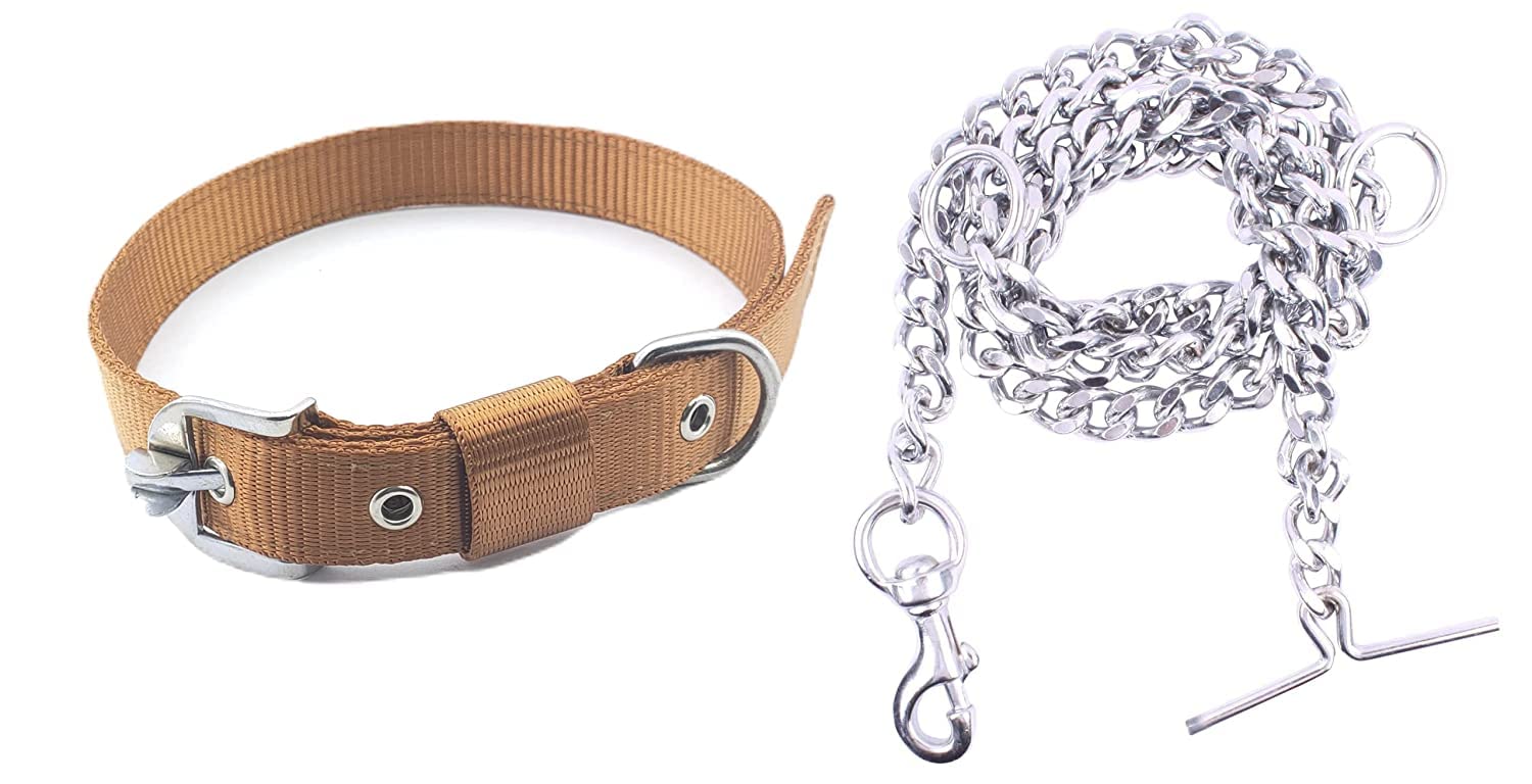 SR VISION Dog Belt Combo of 1 inch Nylon Collar with Heavy Dog Chain 63 Inch Lengthy Dog Collar Chain (Golden) (B09SQWFHLD) Amazon Price History, Amazon Price Tracker