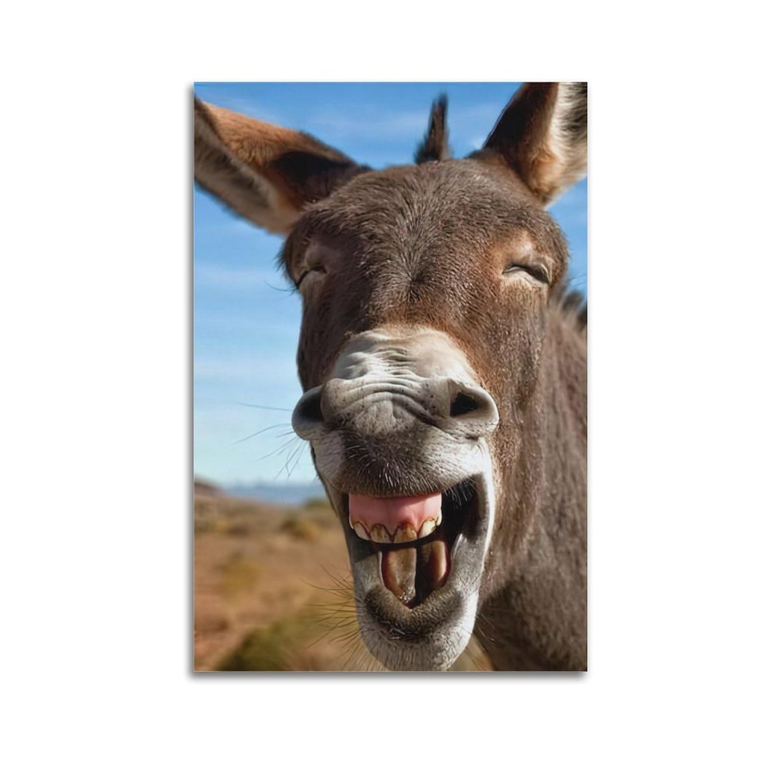 Xkuga Boys Unframe-Style Animal Poster Wildlife Vintage Smile Donkey Close Up Modern Decorative Canvas Prints - Ideal Wall Art For Family, Man Cave, Game Room, & Girls Bedroom 20X30inch(50X75cm)