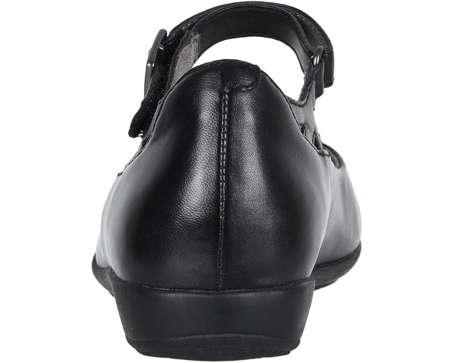 Earth Alder 2 Dalma - Back View