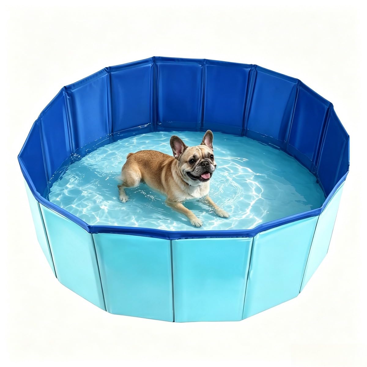 Foldable Dog Pet Swimming Pool, Collapsible Bath Tub for Dogs (Blue*L)