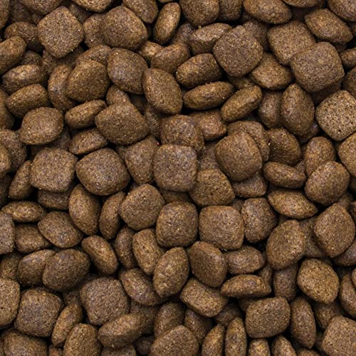 Trockenfutter für Hunde mit Truthahn und Reis, für Erwachsene mittlerer und großer Rassen, 12 kg