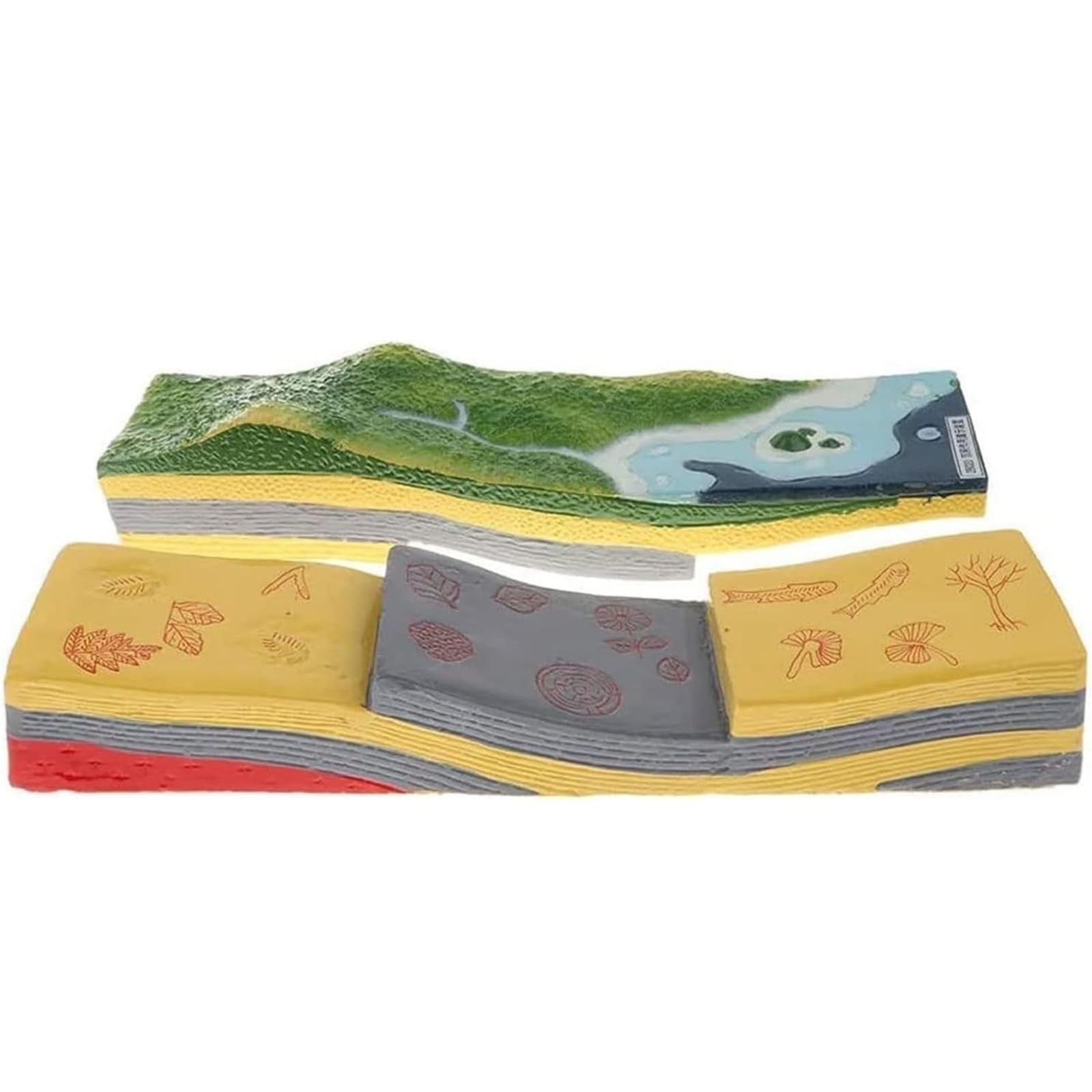 Eiwitany 3D Plate Tectonics Model for Earth Science - Geology & Topography Educational Display for Classrooms, Teaching Aids, Demonstrations, and Learning Tools