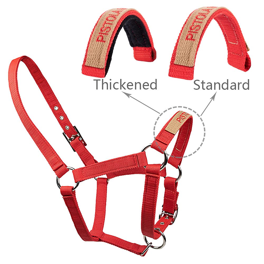 Pferdehalfter mit Namenstickerei am Nasenband - Personalisiertes Halfter mit Namen - Führleine - Führleine - Führleine - Halfter mit Gravur - personalisierte Pferdetackle für dein Pferd oder Pony