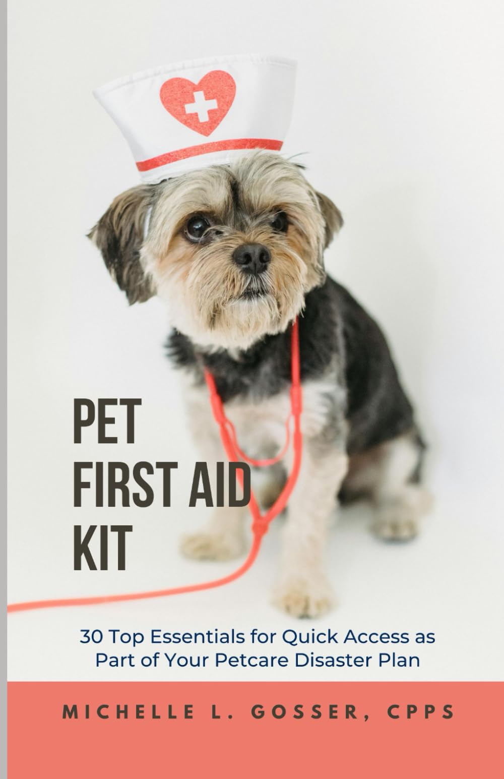 Pet First Aid Kit: 30 Top Essentials for Quick Access as Part of Your Petcare Disaster Plan