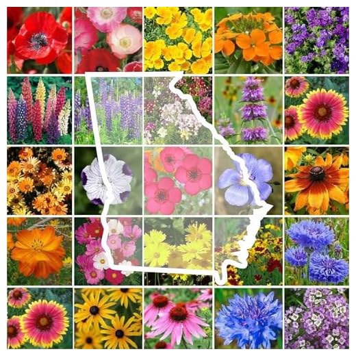 Eden Brothers Wildflower Seed Mix