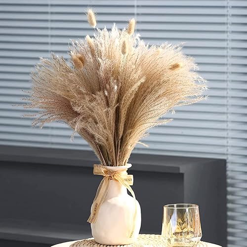 Fragmitas de hierba de las pampas pequeñas y secas naturales plantas artificiales de comunis ramo de flores decorativas para decoración del hogar 60