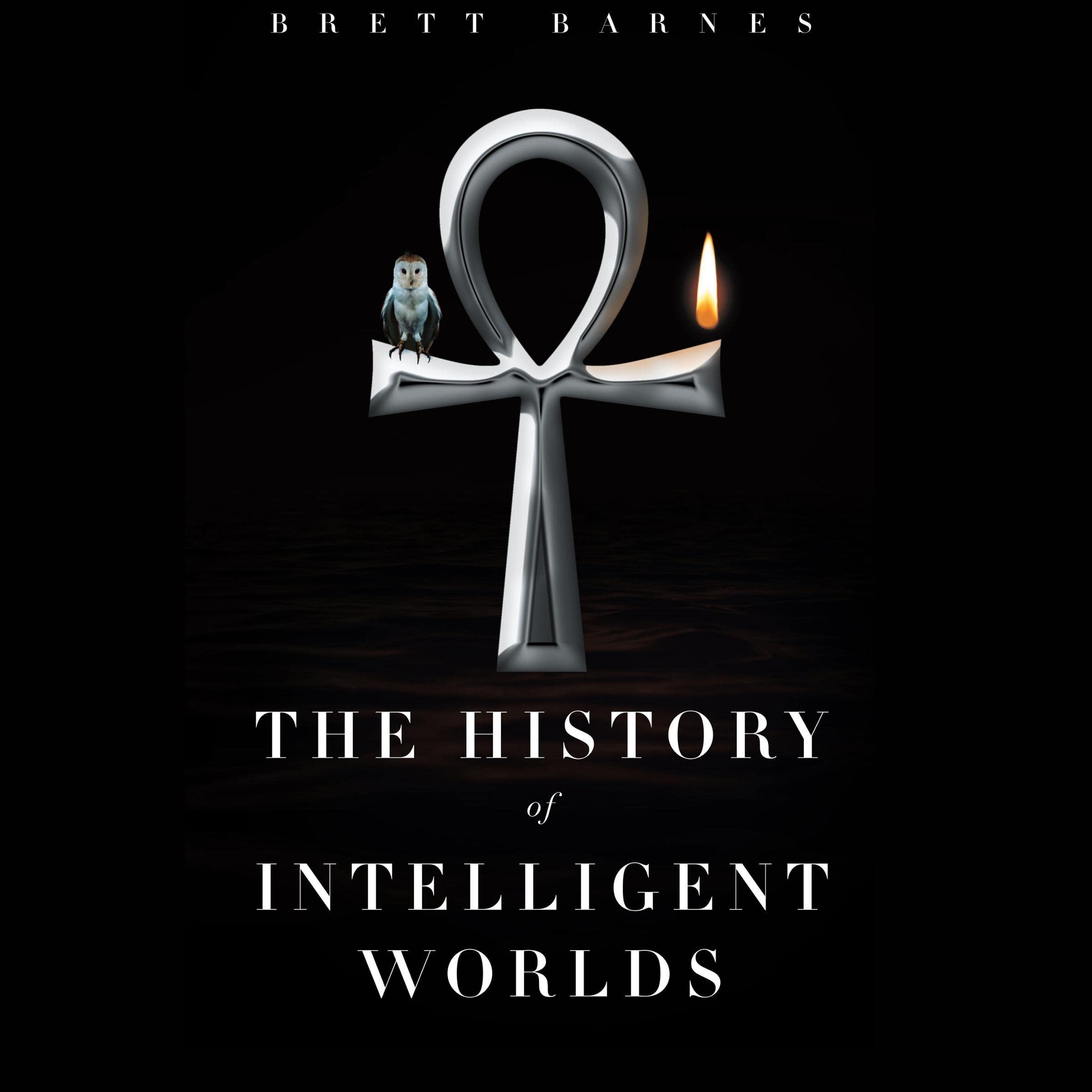 The History of Intelligent Worlds