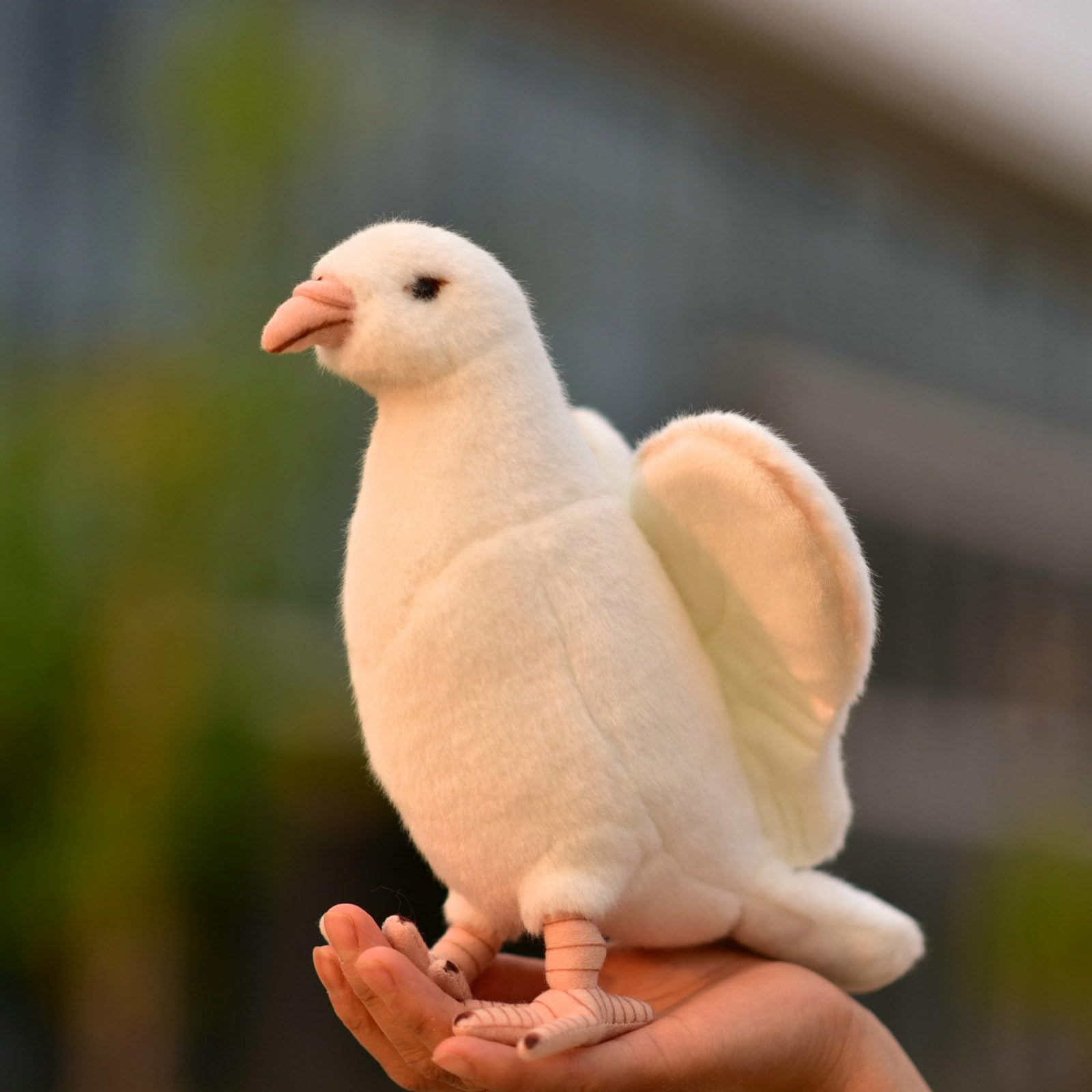白い鳥 Amazon.co.jp: ウービア 白文鳥 11×4.5×8.7㎝ 人形 フィギュア