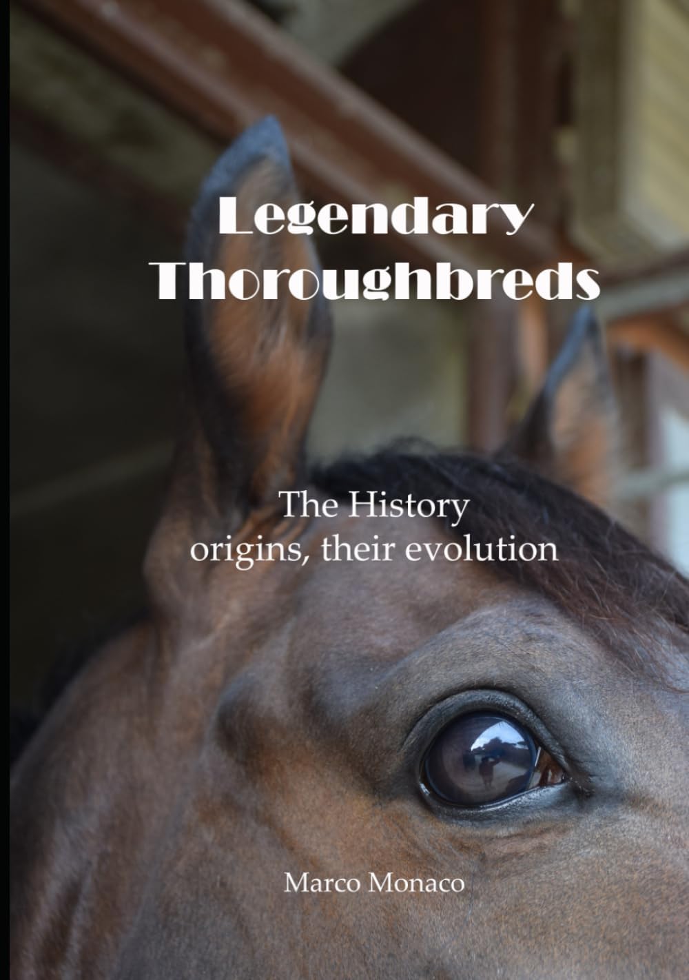 Legendary Thoroughbreds: The History the origins, their evolution