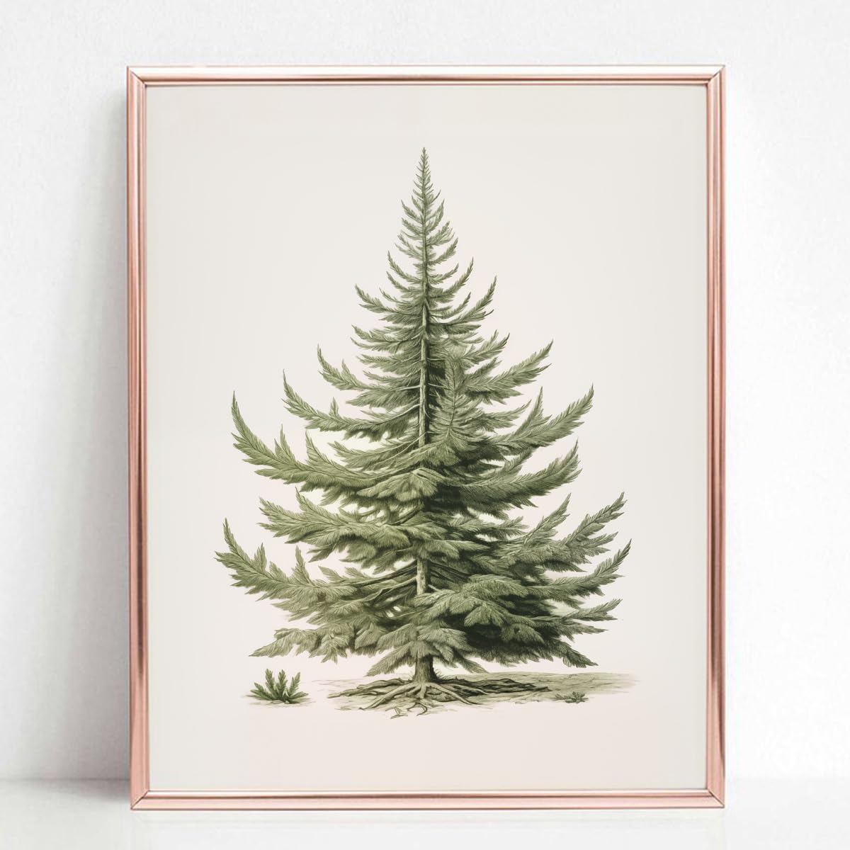 Amazon.com: Christmas Tree Art Print, Vintage Fir Botanical