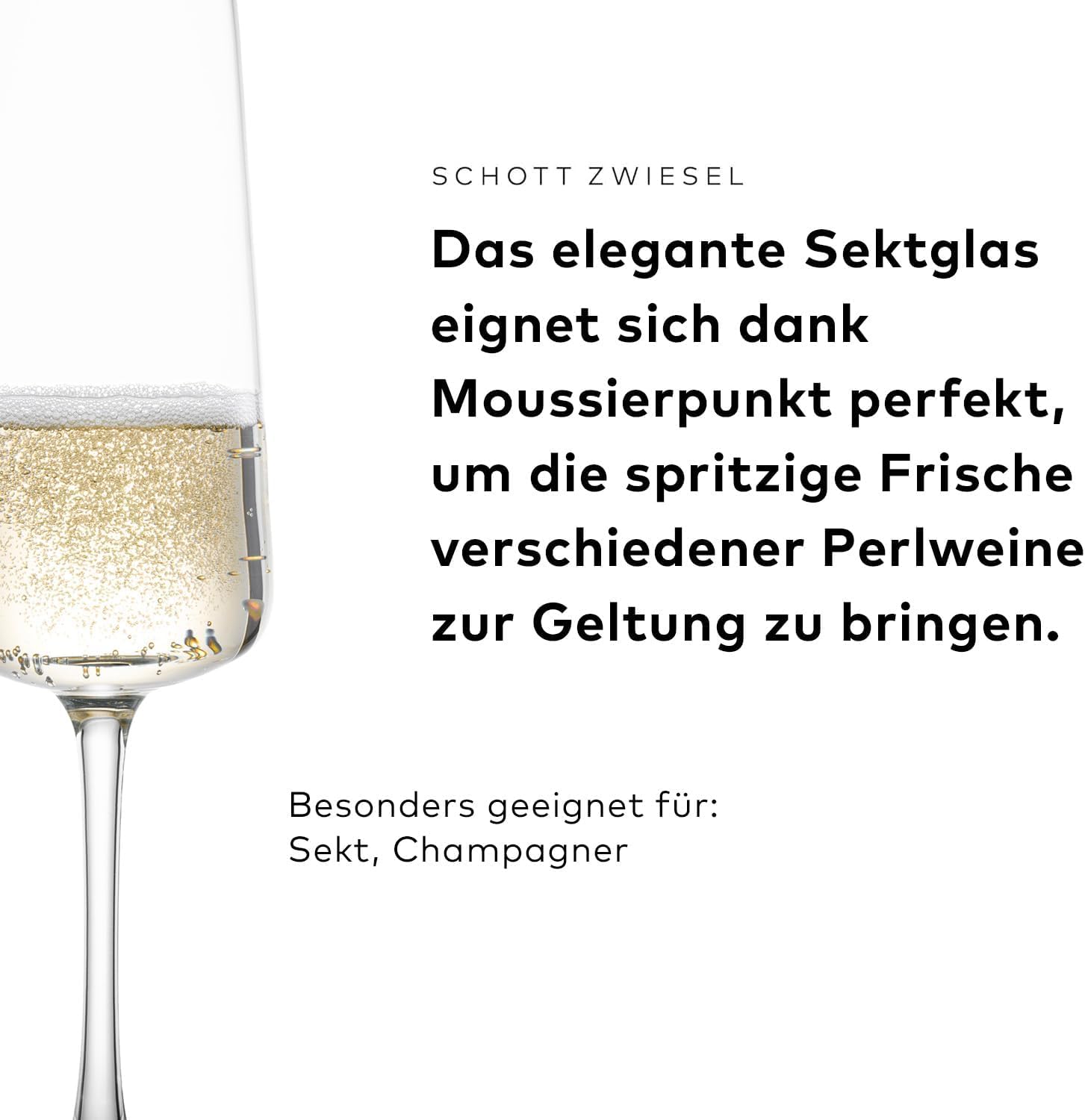 SCHOTT ZWIESEL Gläserset MioVino (12er-Starterset), moderne Weingläser und Sektgläser im Set, spülmaschinenfeste Tritan-Kristallgläser, Made in Germany (Art.-Nr. 124072)