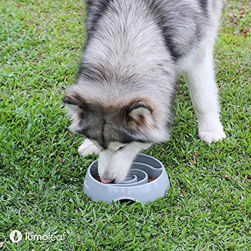 LumoLeaf Antischlingnapf Hunde Groß, Ø 22 cm, rutschfest Hundenapf, Schwerer Fressnapf, Entlastet die Verdauung, Anti Blähungen Futternapf Hund, Slow Feeder Dog Bowl (Tornado-Grau, L)