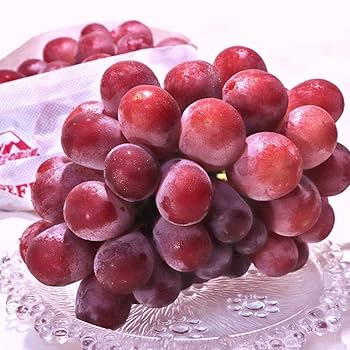 葡萄の枝様 リクエスト 2点 まとめ商品 枝様 リクエスト 2点 まとめ商品 葡萄の枝様 リクエスト 2点