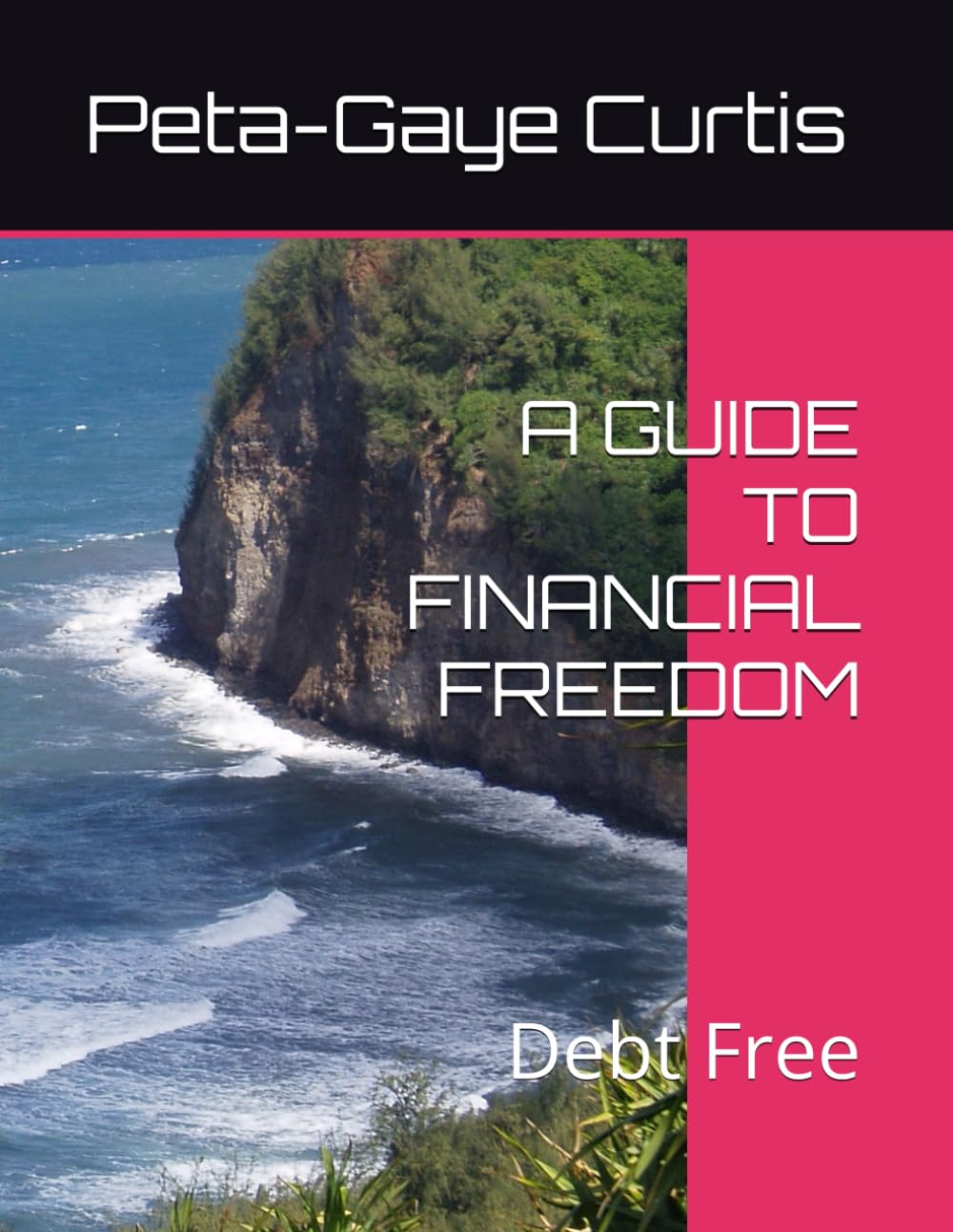 A GUIDE TO FINANCIAL FREEDOM: Debt Free
