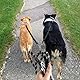Trhillsbrad 3m x 14mm Doppelte Hundeleine für 2 Hunde, Verstellbare hundeleine Große Mittelgroße Hund, kein Verheddern 360° drehbarer Splitter Doppelleine fur Zwei Hunde, Schwarz