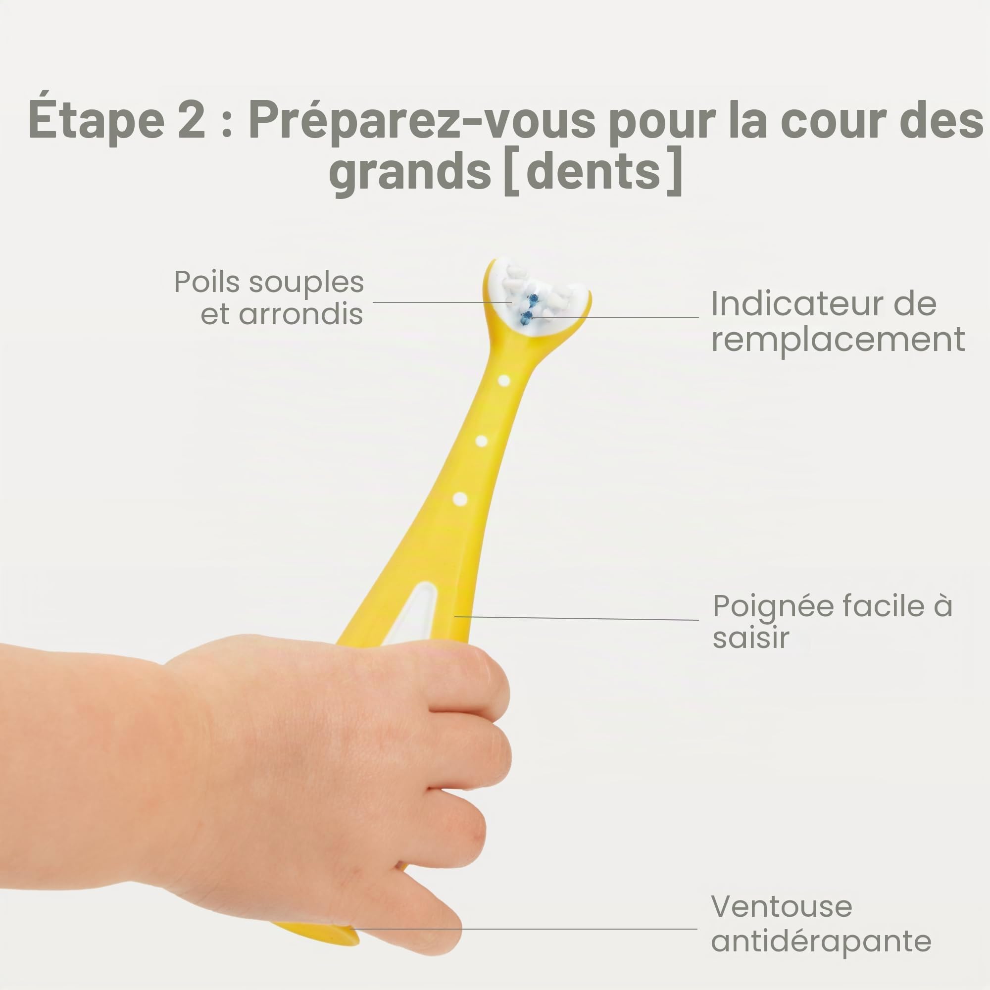 Frida Baby Grow-with-Me Ensemble de brosses à dents d'apprentissage