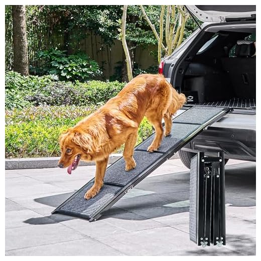 Hunderampe für große Hunde bis 90 kg