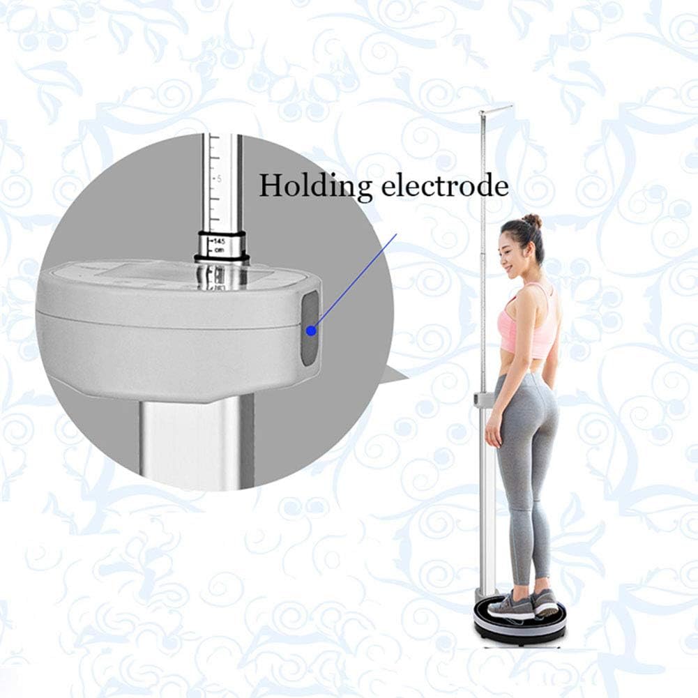 Balanza digital de grasa corporal, balanza ultrasónica de altura y peso, con varilla de medición de altura y pantalla LCD, para gimnasio en casa.