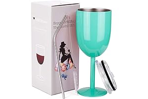 Orca Stainless Steel Wine Martini Glass with Vacuum Insulation