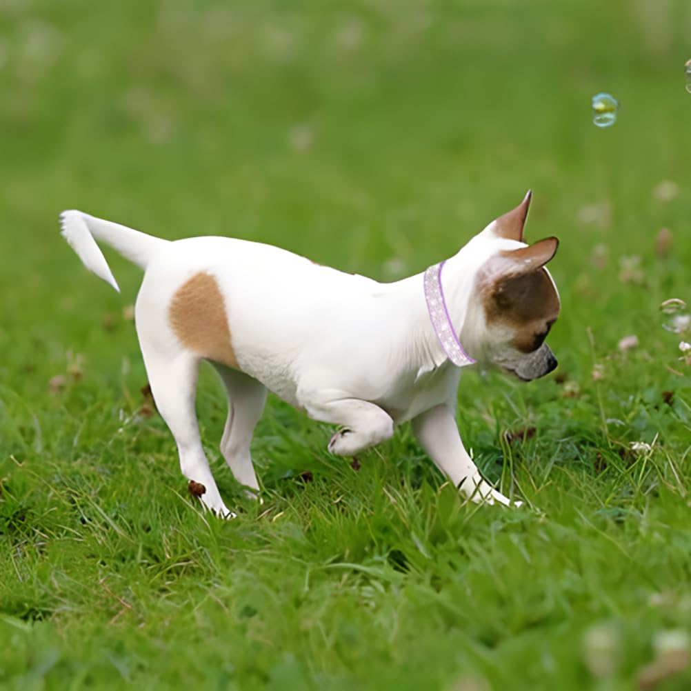 Portateca Bustina Scamosciata Morbida | Vendita Online Su HOLYART - Foto 7