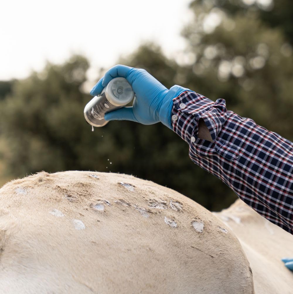 Zestaw 4 produktów do pielęgnacji koni: pielęgnacja skóry dla koni – kompletne rozwiązanie na muchy i muszki – spray, krem ochronny i zmiękczacz do skóry podrażnionej
