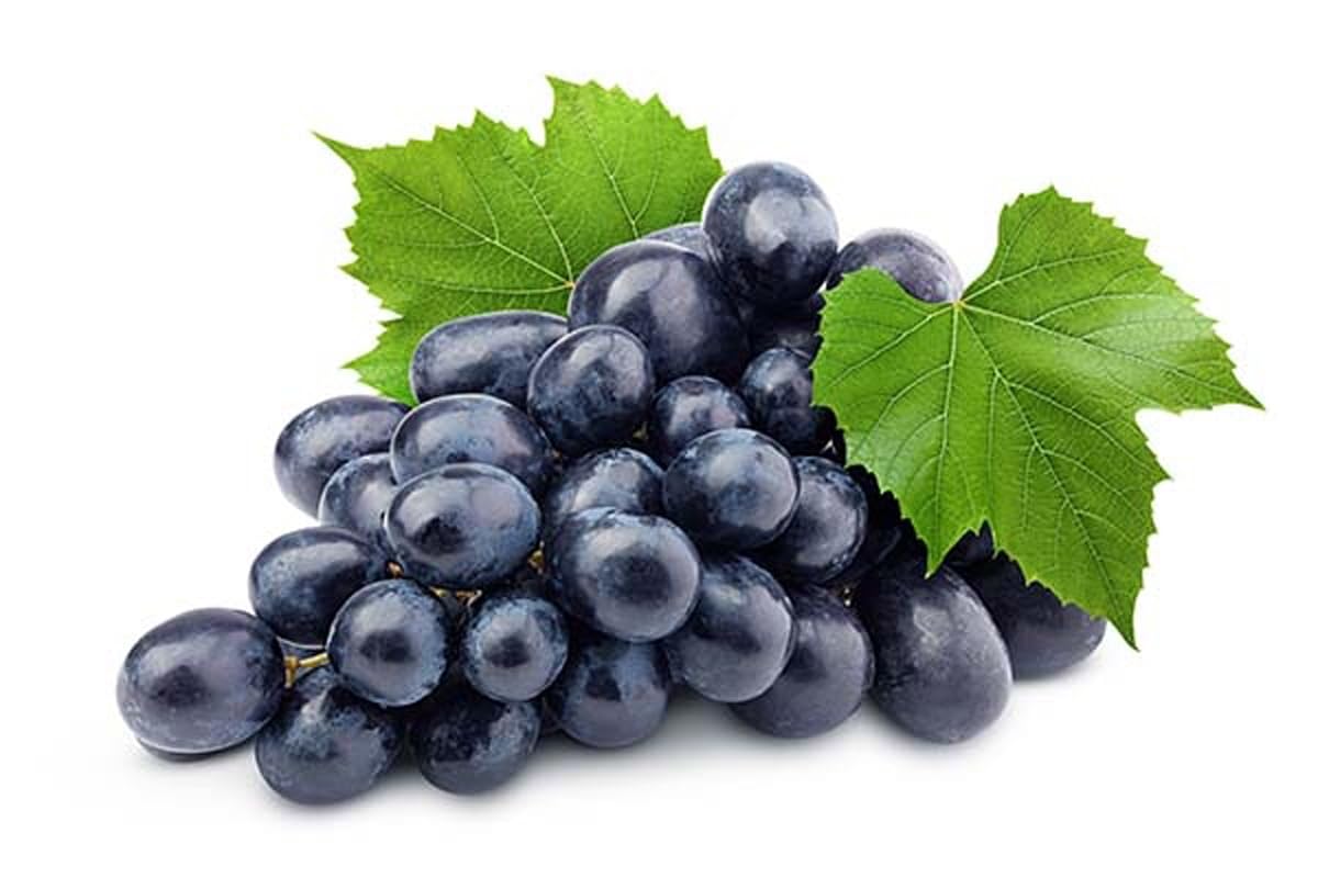 FreshToHome Grapes Black Pack of 500g (India)