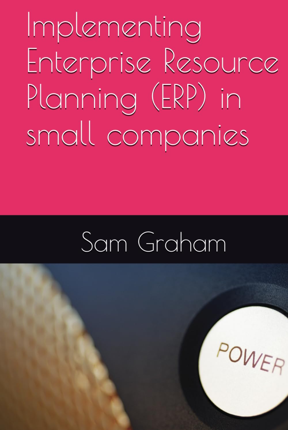 Implementing Enterprise Resource Planning (ERP) in small companies